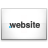 .WEBSITE domain name